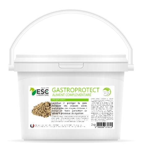 GASTRO PROTECT