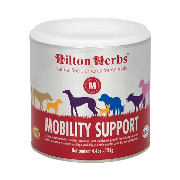 Mobility support