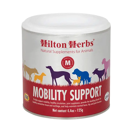 Mobility support