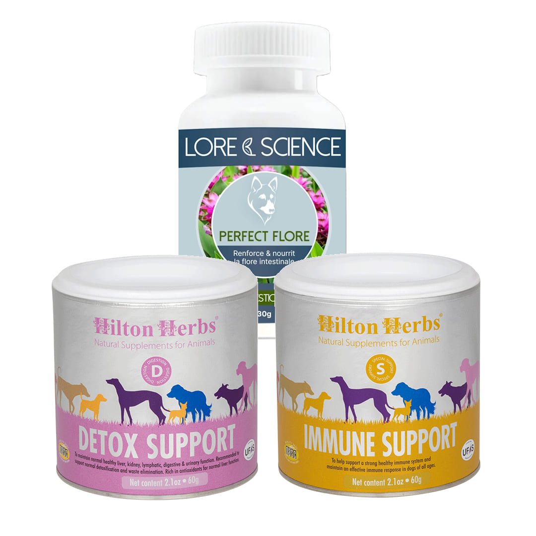 Wellness pack - Dog