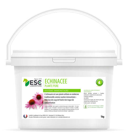 Echinacea - sistema immunitario