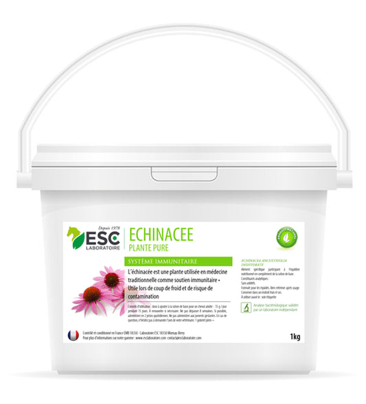 Echinacea - sistema immunitario