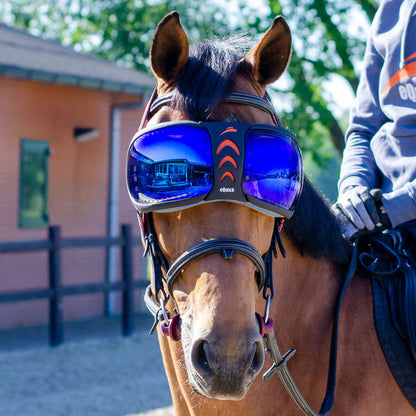 occhiali cavallo blu 