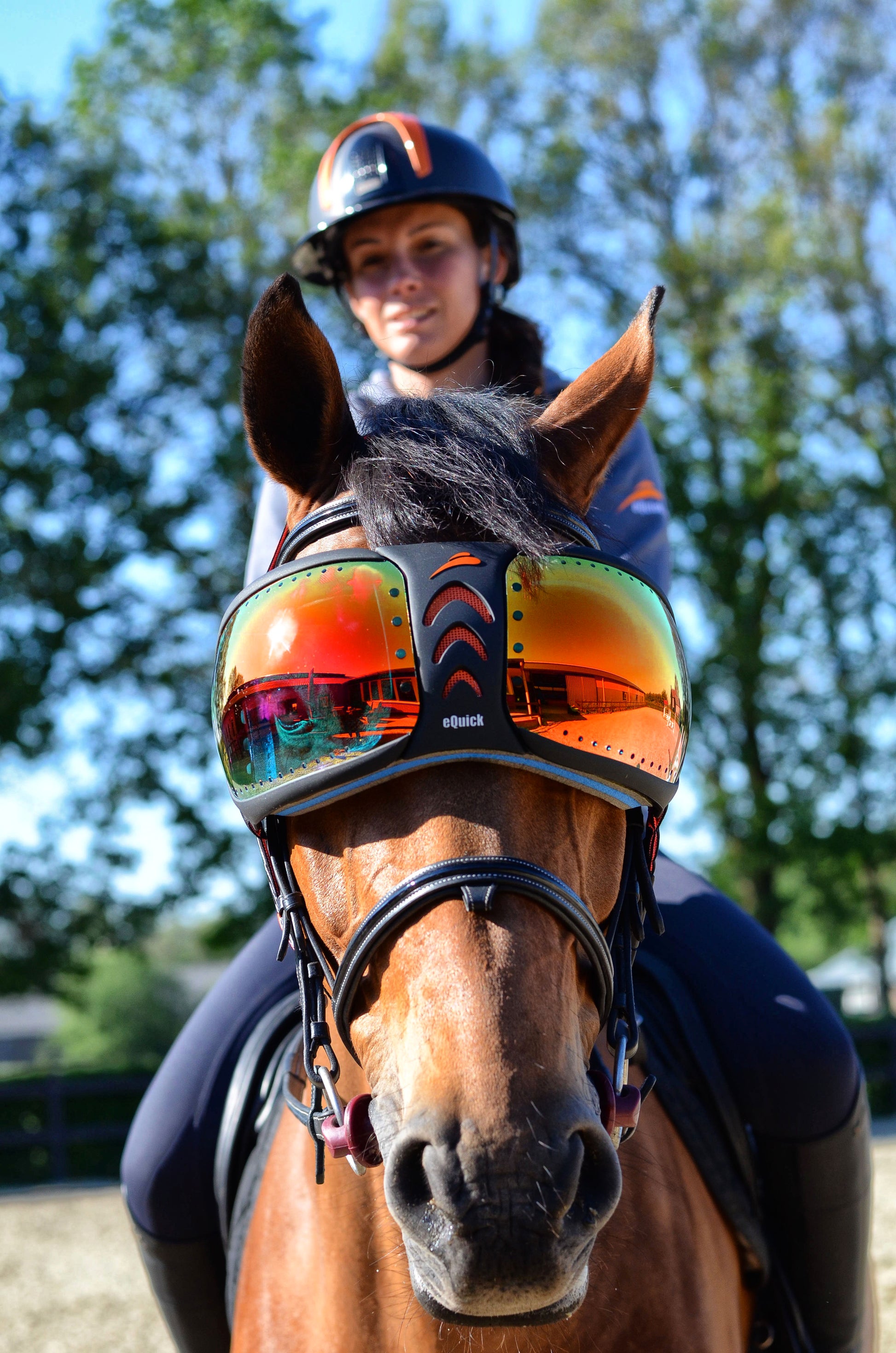 occhiali cavallo arcobaleno 