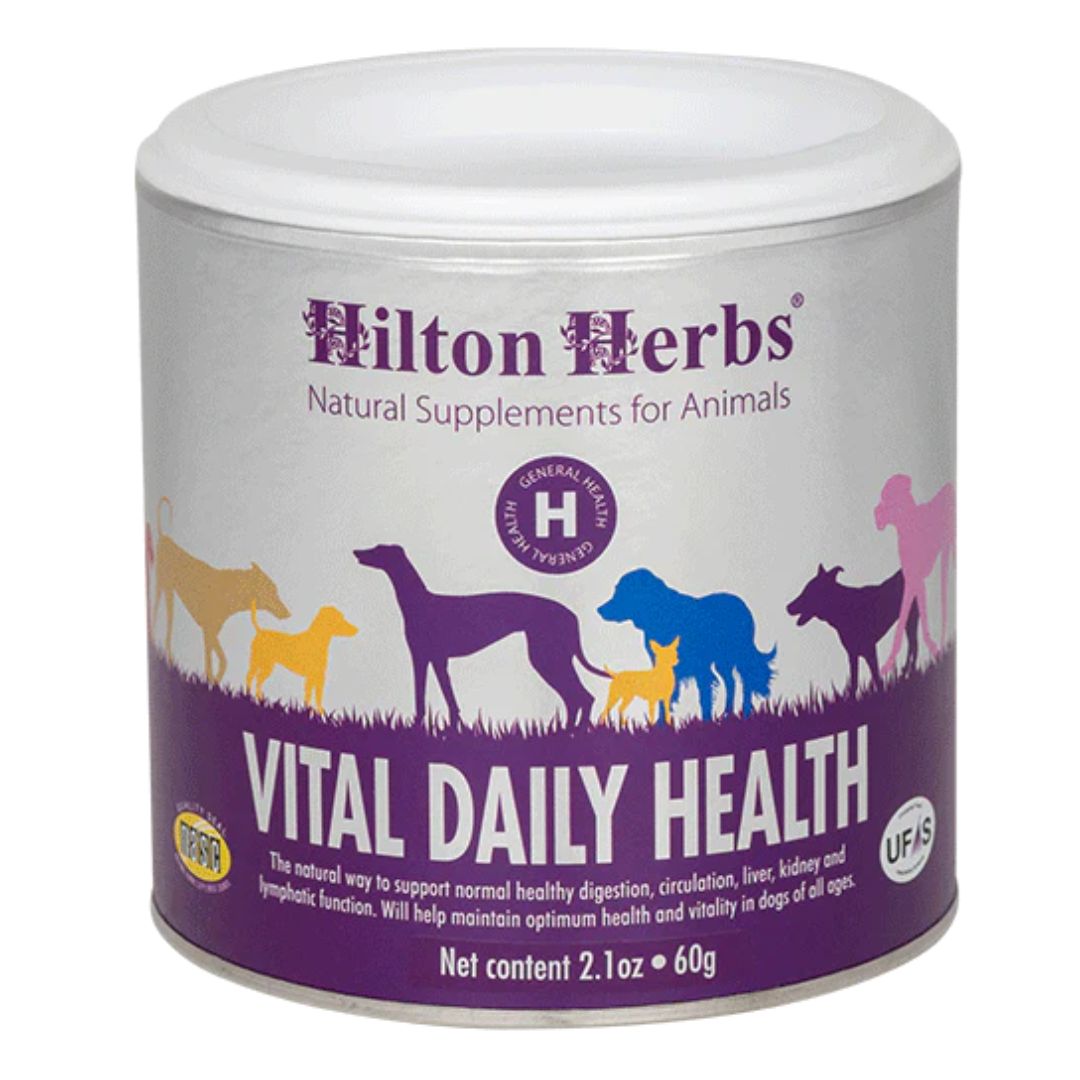 Vital Day Health Chien